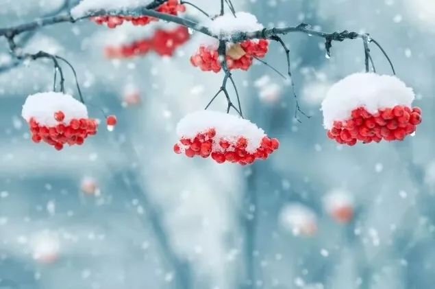 微信图片_20181214161546.jpg 微信图片_20181214161546.jpg