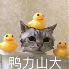 image.png image.png
